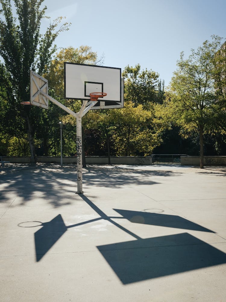 Basketball sunshine, Valladolid, Spain