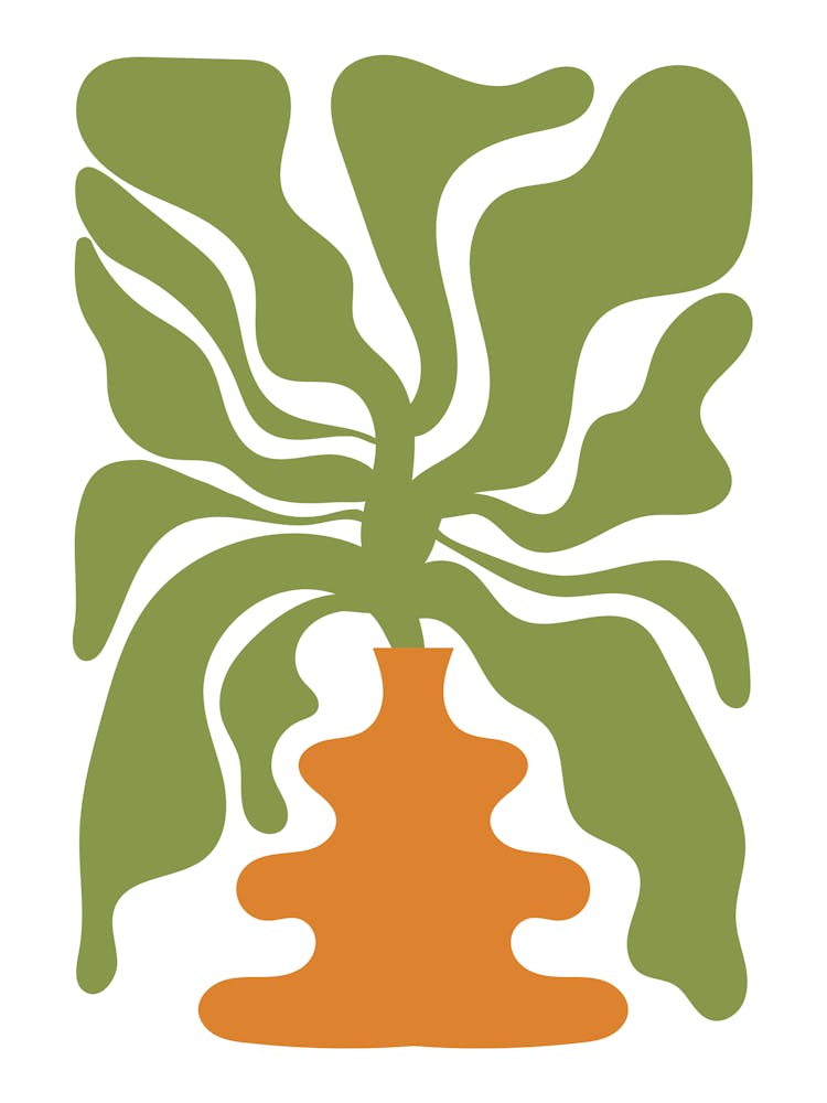 Plant In A Vase