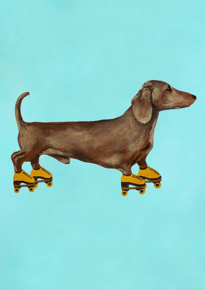 Daschund With Rollerskates