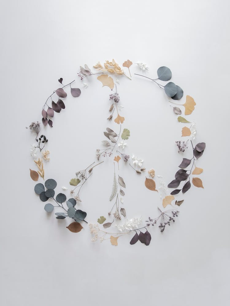 Love, Flowers & Branches   Peace