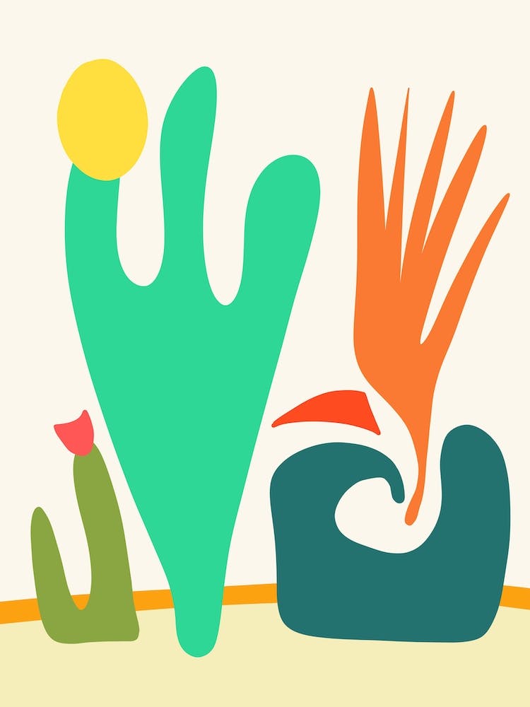 Bird Of Paradise