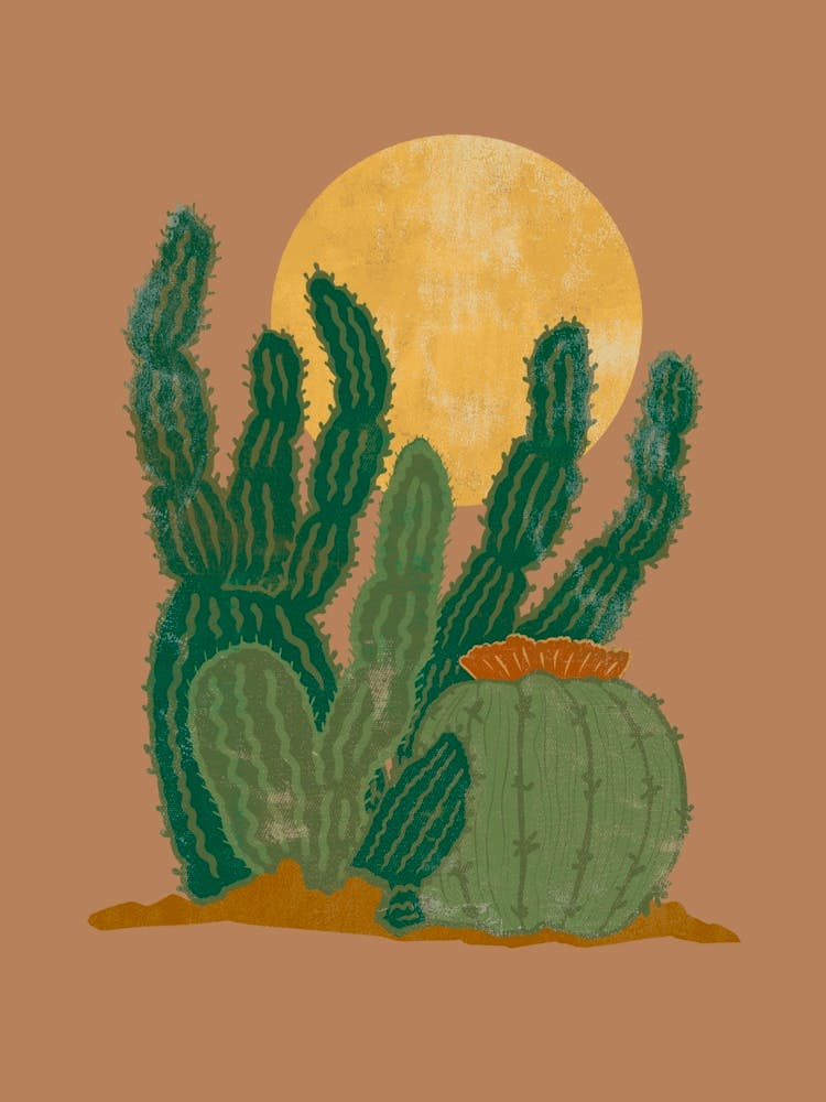 Cactus And Moon