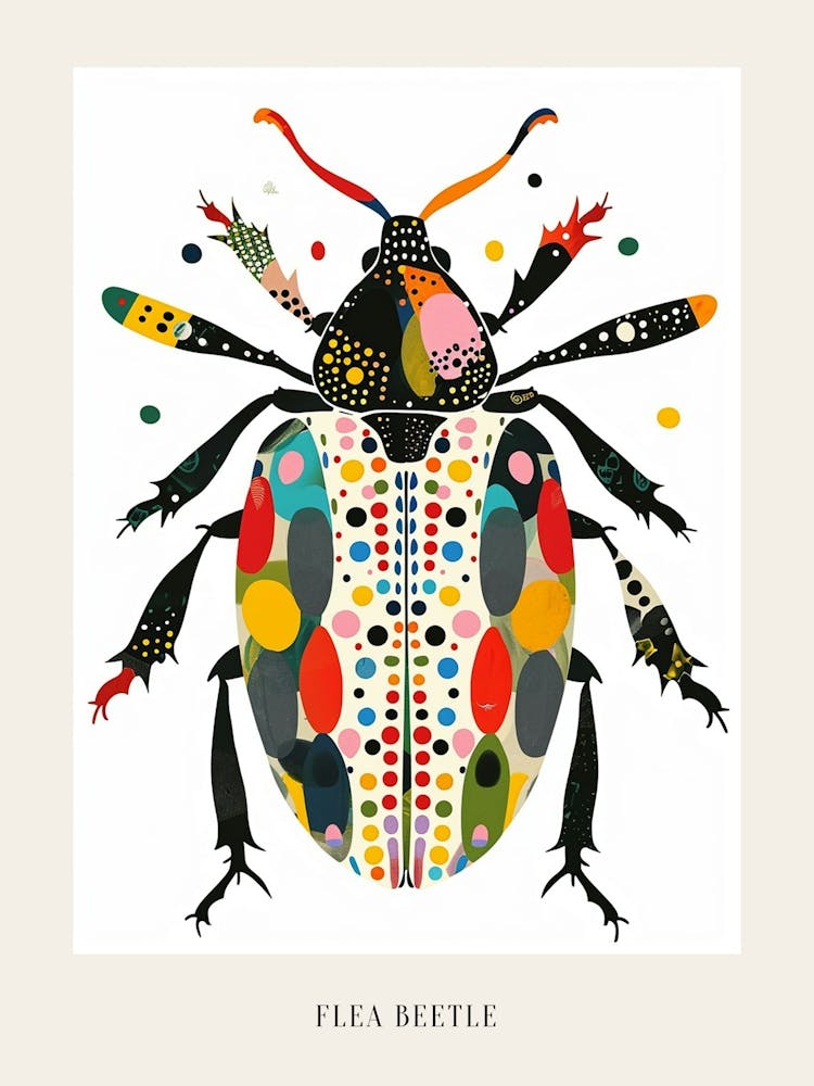 Colourful Insect Illustration Flea Beetle 1 Poster
