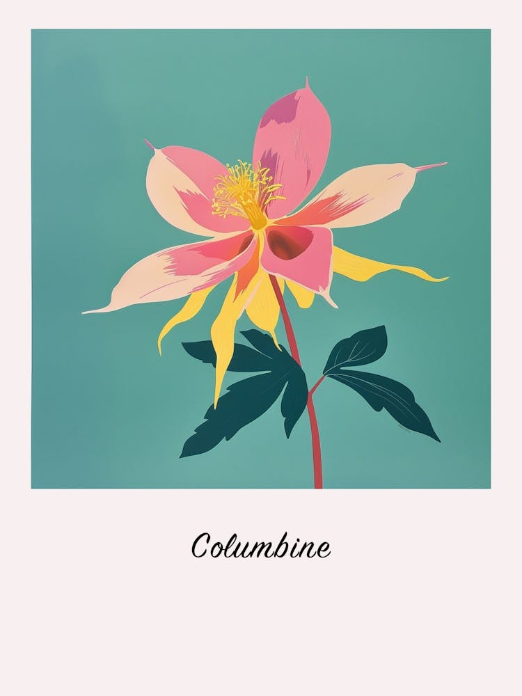 Columbine 1 Square Flower Illustration Poster