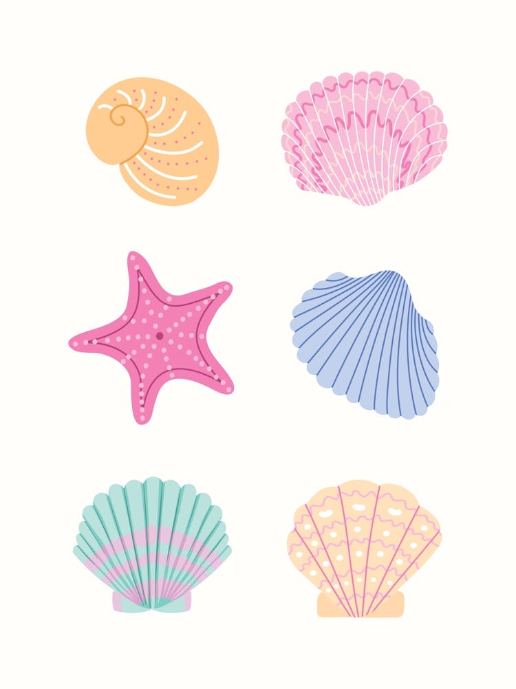 6 Seashells
