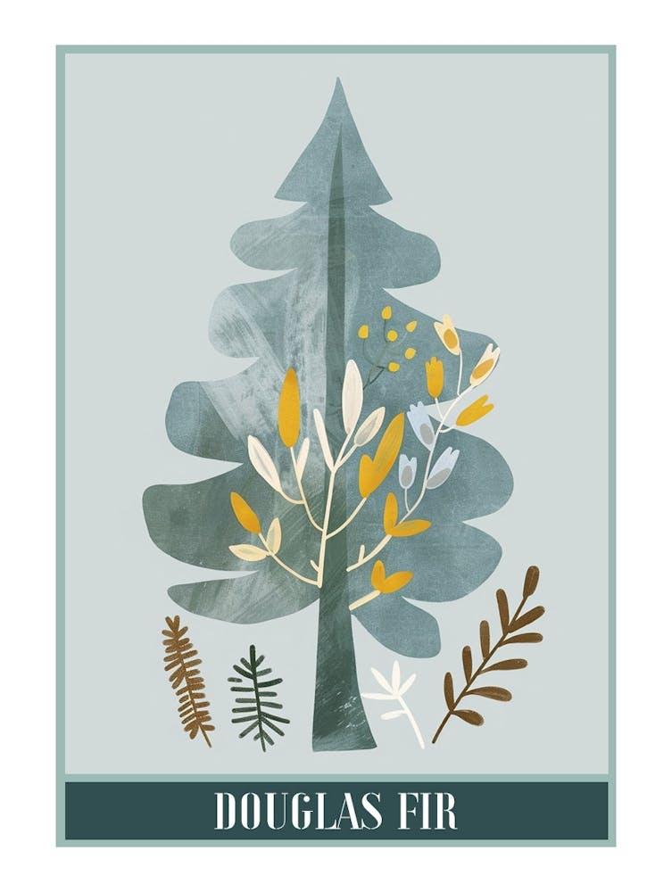 Douglas Fir Tree Illustration Flat 3 Poster