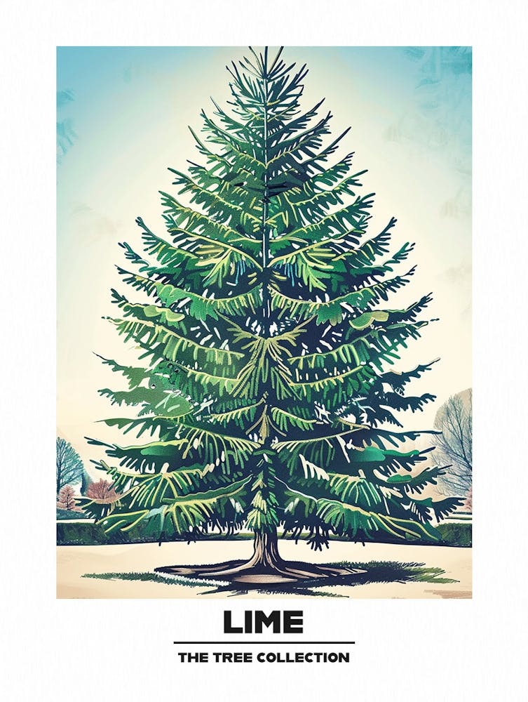 Lime Tree Storybook Illustration 3 Poster