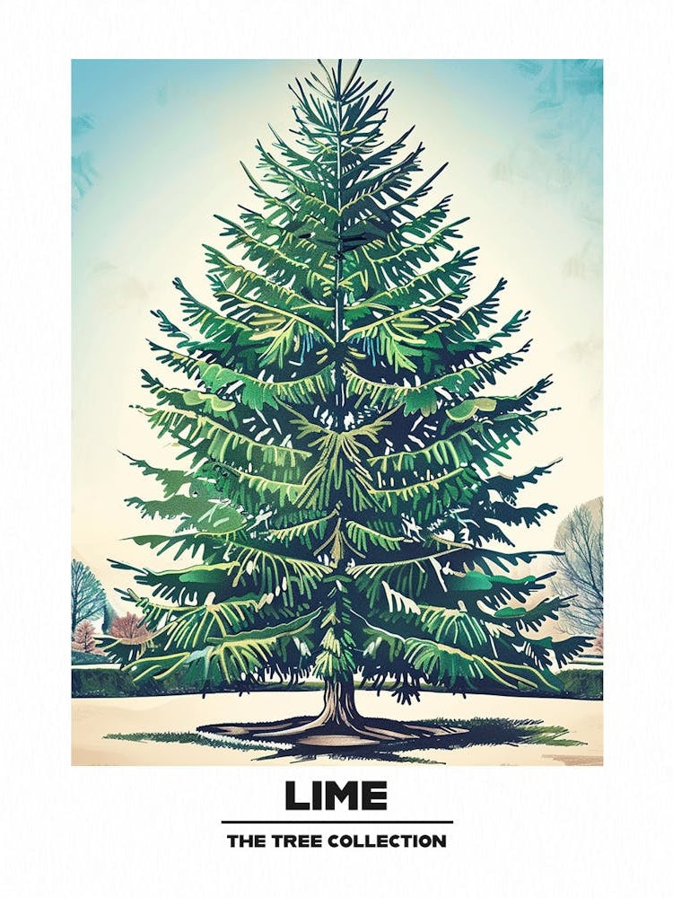 Lime Tree Storybook Illustration 3 Poster