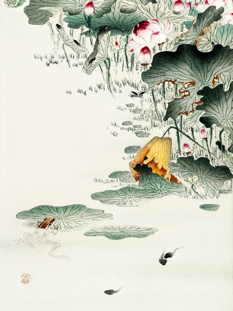Grenouille et Têtards (1900 1930), Ohara Koson