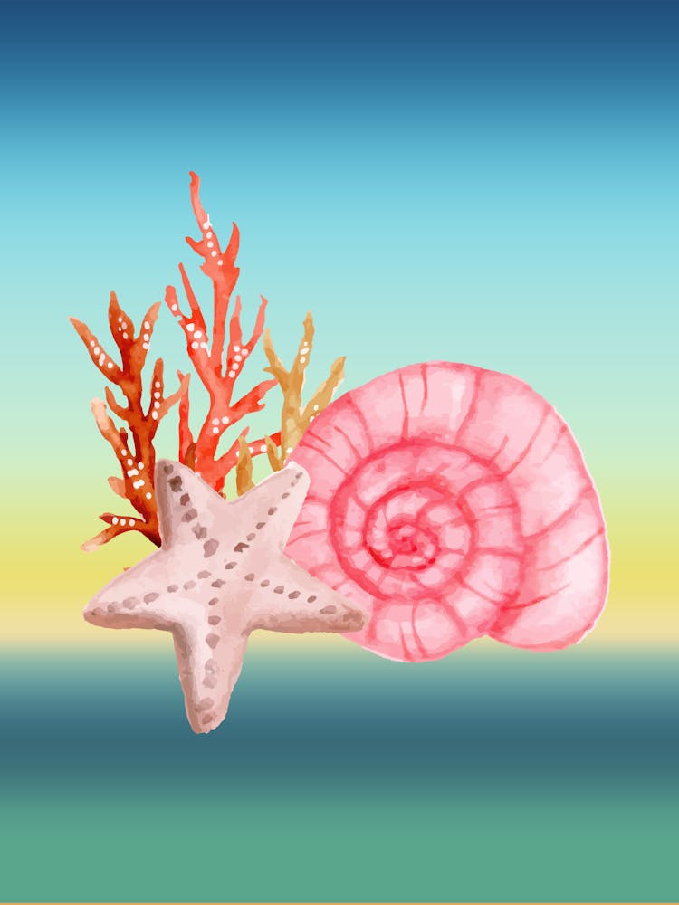 Seashells And Coral