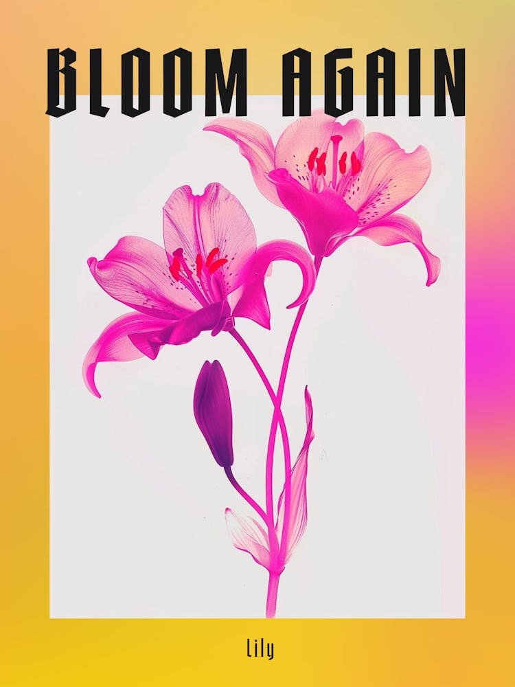 Hot Pink Lily 2 Poster