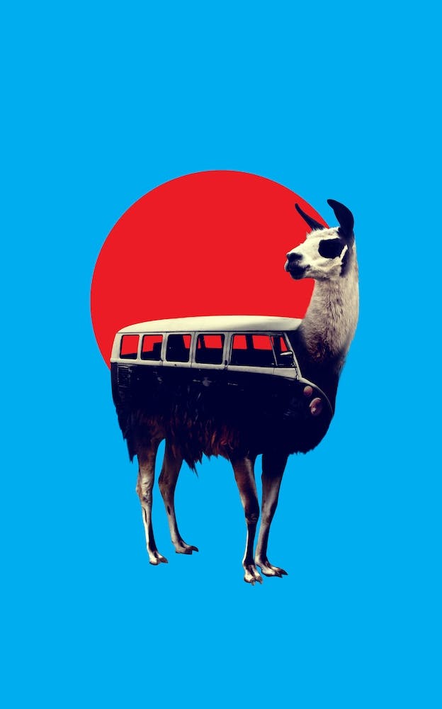 Llama