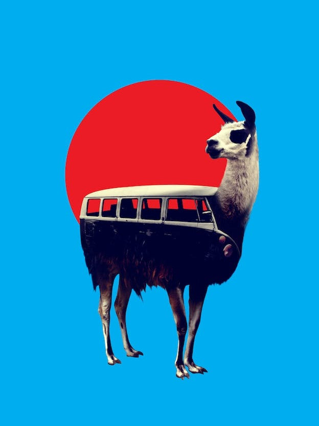 Llama