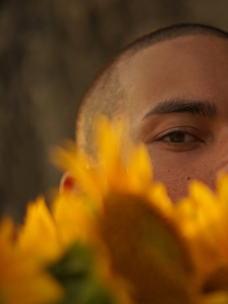 Sunflower #4