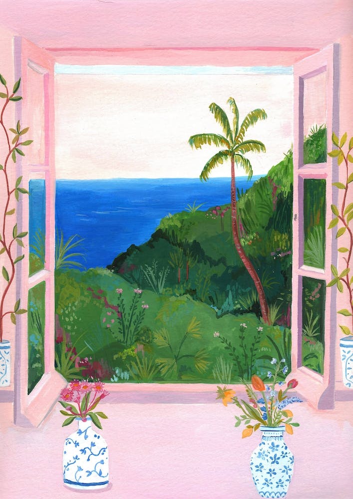 View From The Window