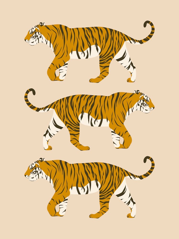 Walking Tiger Trio - Beige