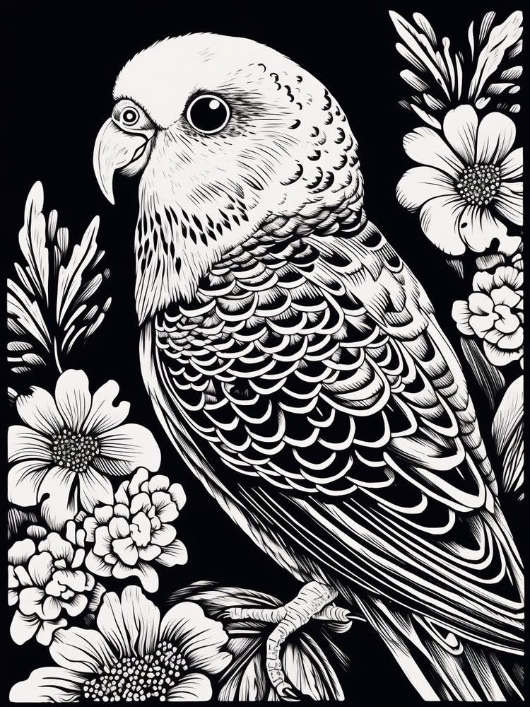 B&W Bird Linocut Budgerigar 2