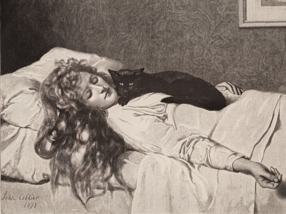 The Witch 1893 by John Collier, Remastered HD Victorian Drawing of Woman and Her Black Cat Sleeping