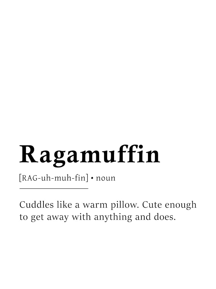 Ragamuffin Definition Poster - Dictionary