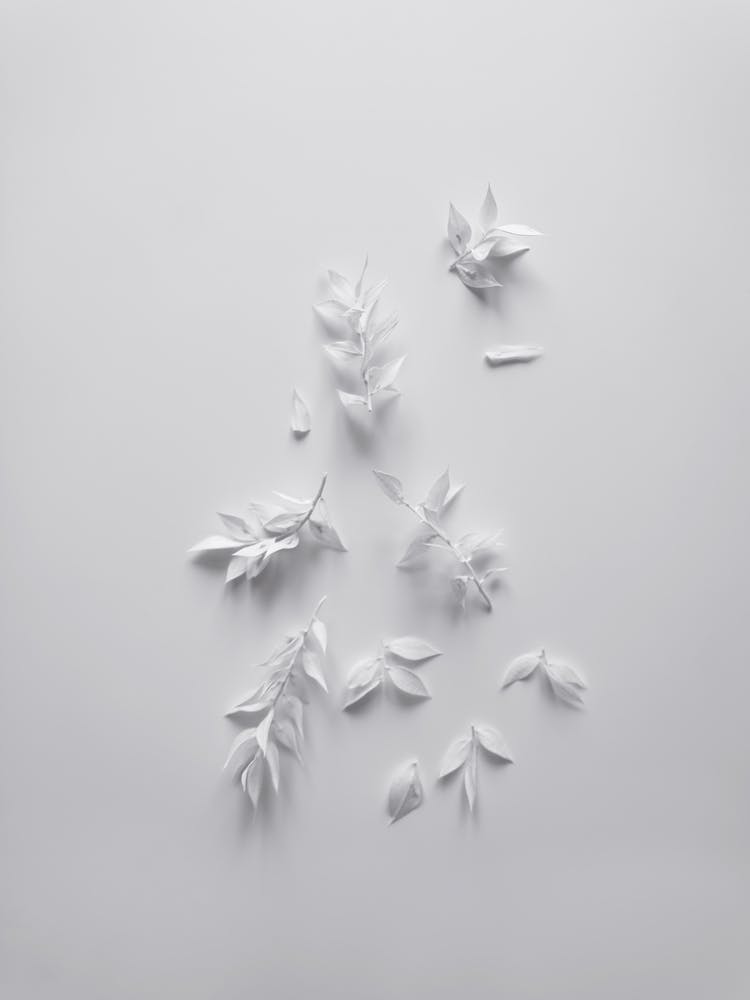 White Minimal Flowers