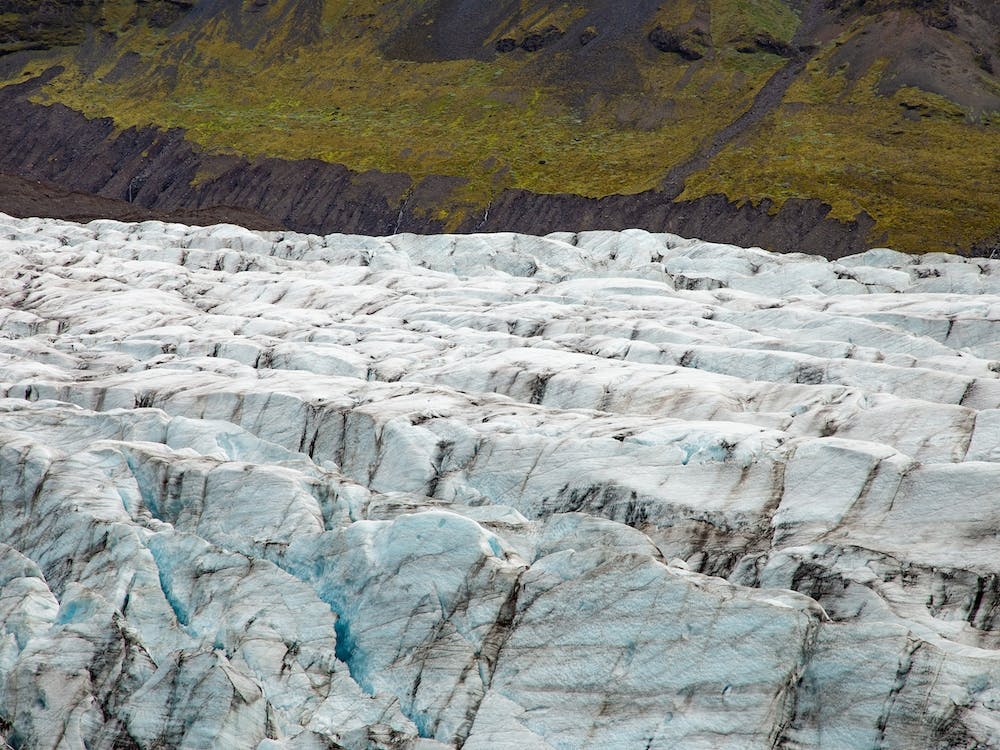 Glacier Field