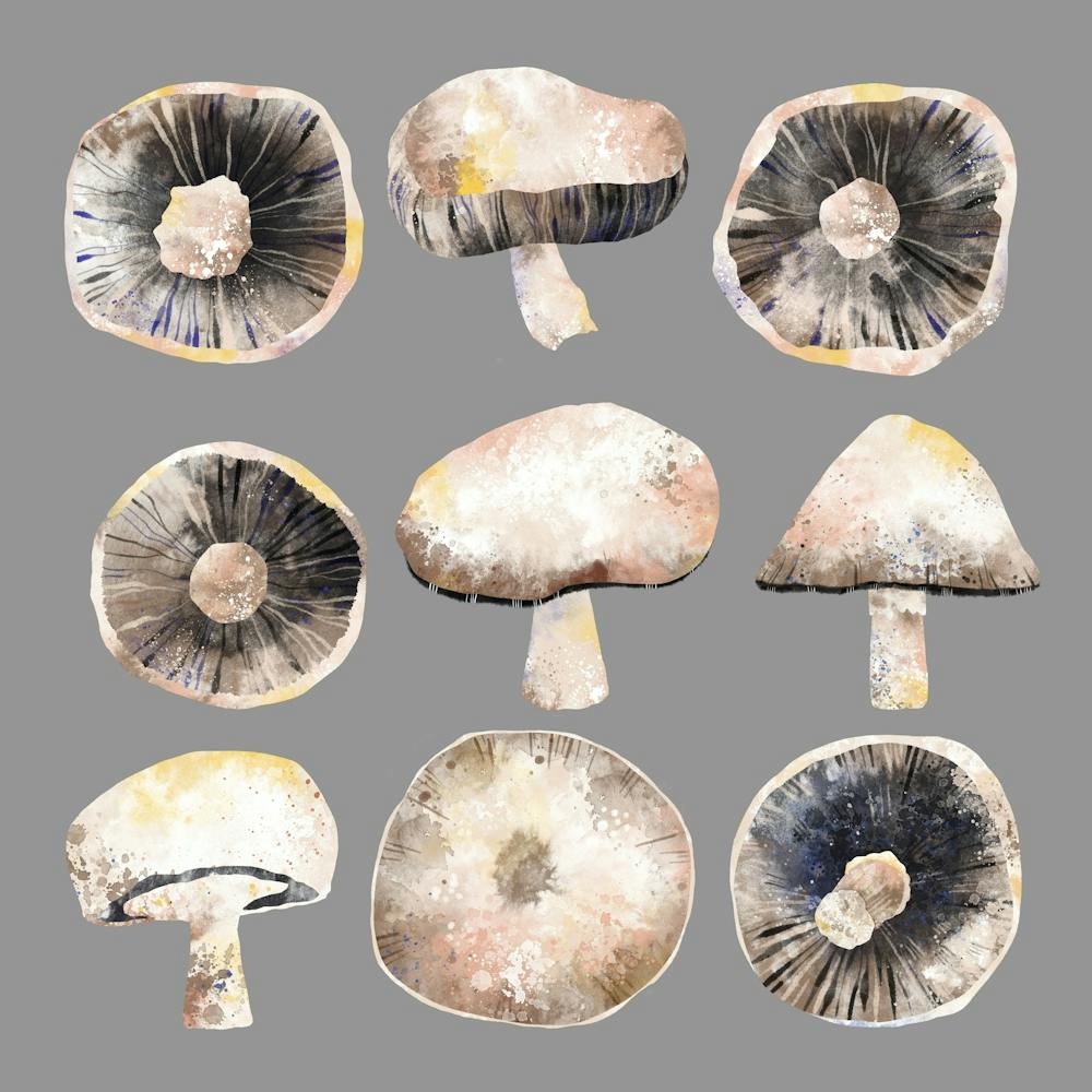 Mushrooms