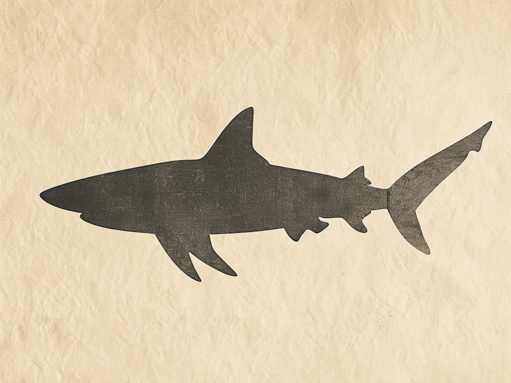 Carpet Shark Silhouette 4