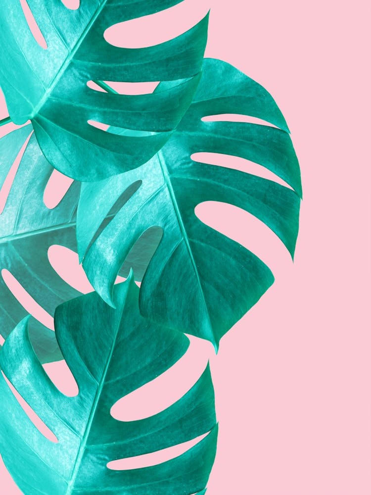 Fashion floral art 7