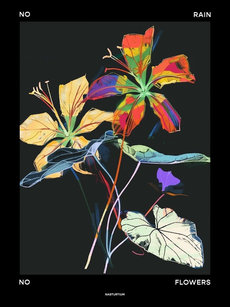 No Rain No Flowers Poster Nasturtium 1