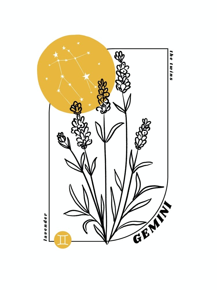 Zwillinge Geburtsblume und Sternzeichen