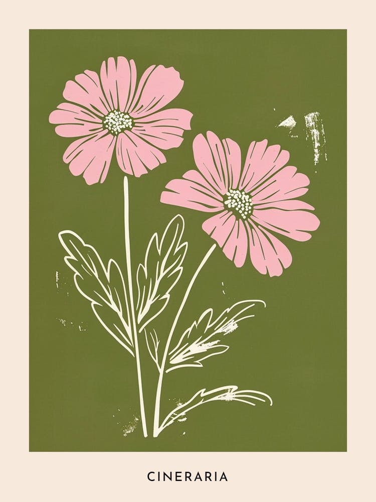 Rosa & Grüne Cineraria 2 Blumenposter