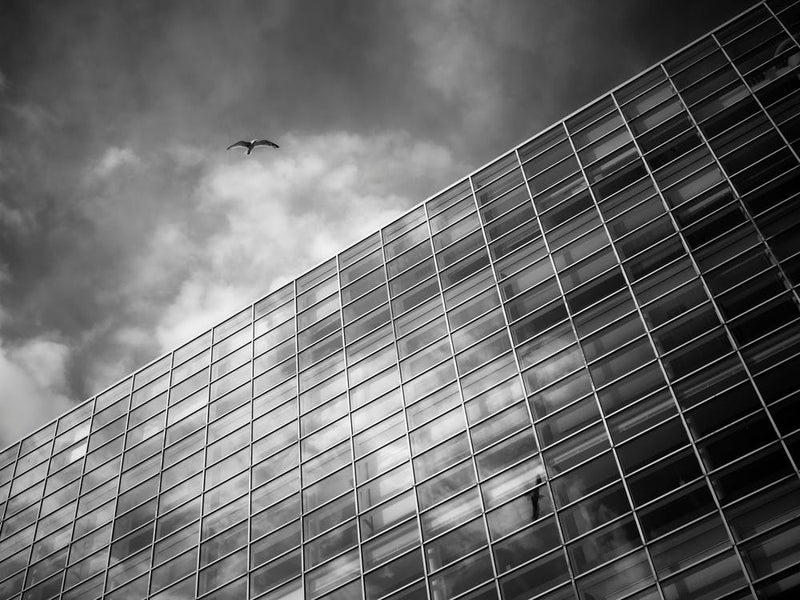 Soar