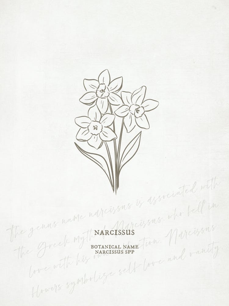 Narcissus Birth Flower | Antique