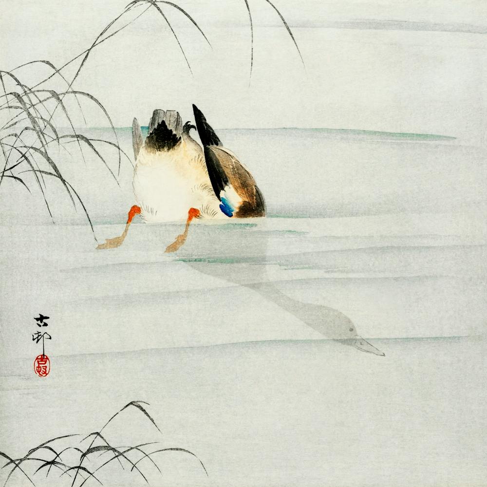 Mallard, The Head Under Water (1900 1930), Ohara Koson