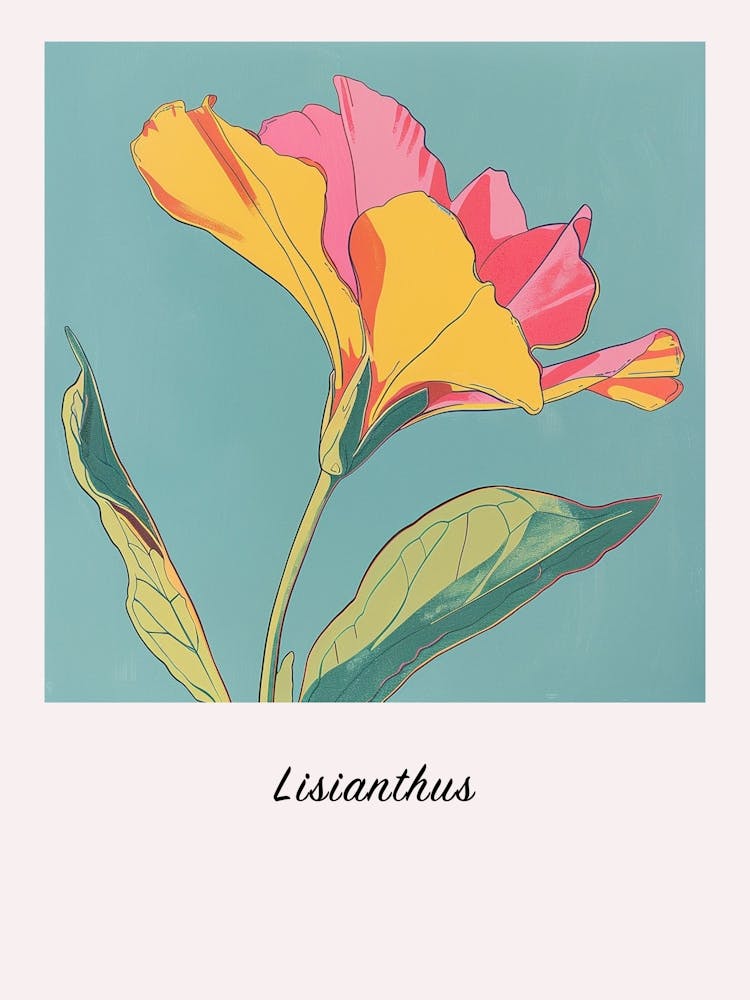 Lisianthus 2 Square Flower Illustration Poster