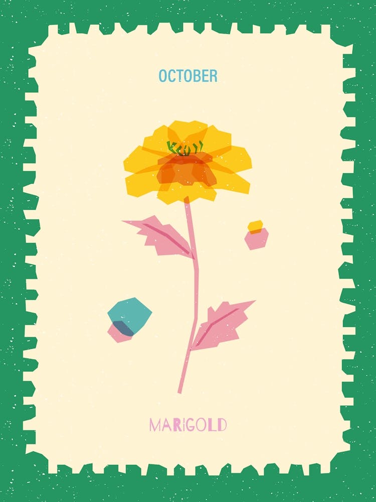 October Birthmonth Flower Marigold