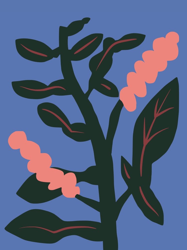 Lutscherblume