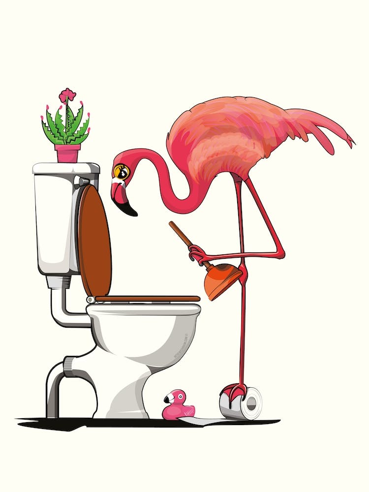 Flamingo Plunging Toilet Bathroom