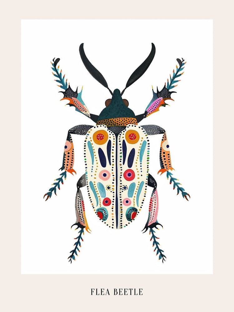 Colourful Insect Illustration Flea Beetle 13 Poster