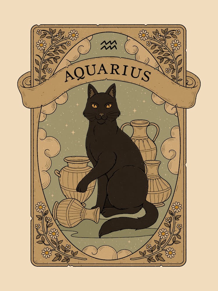 Cats Astrology Aquarius