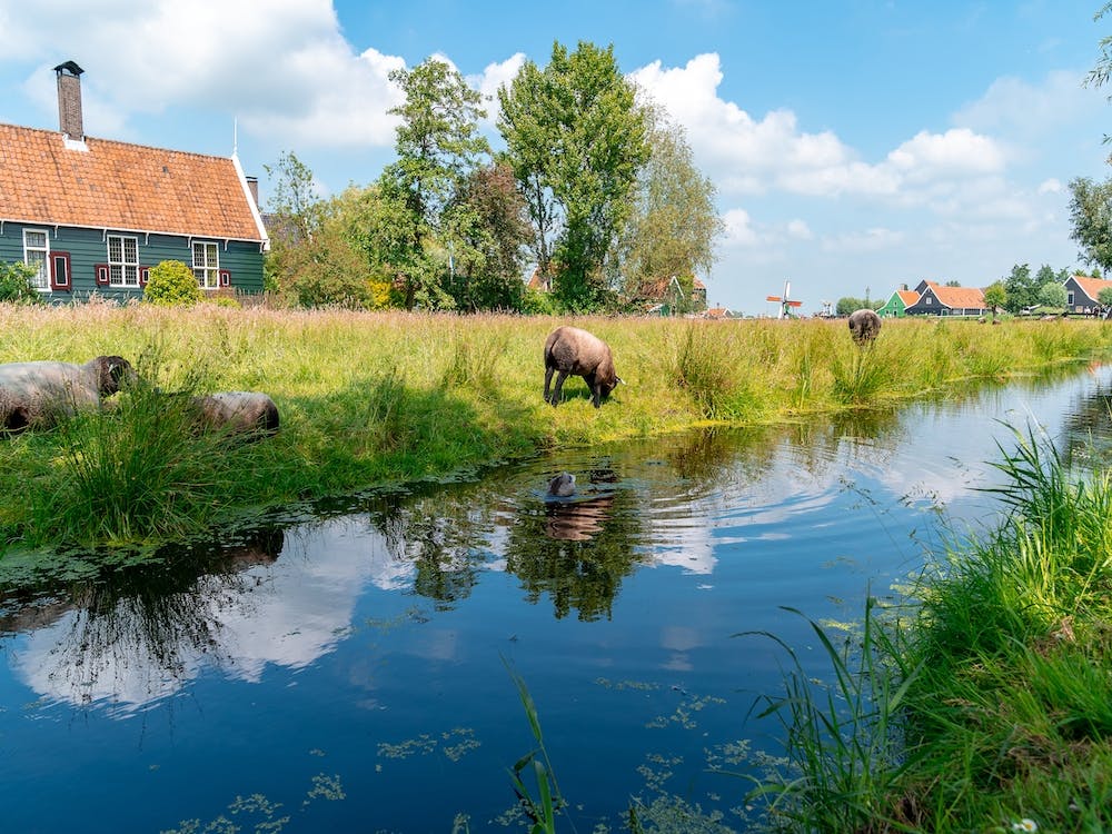 Holland Farm