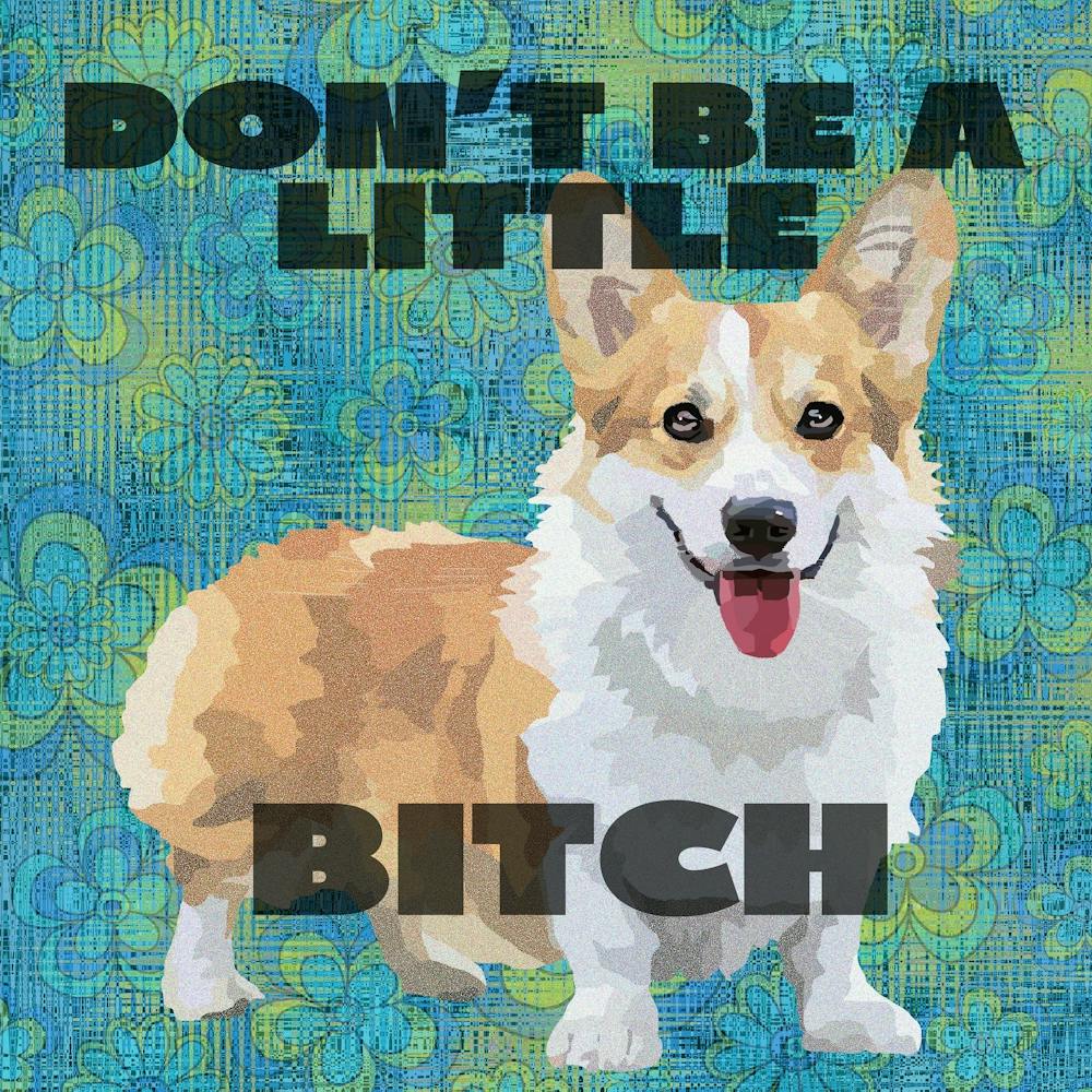 Don't Be a Little Bitch