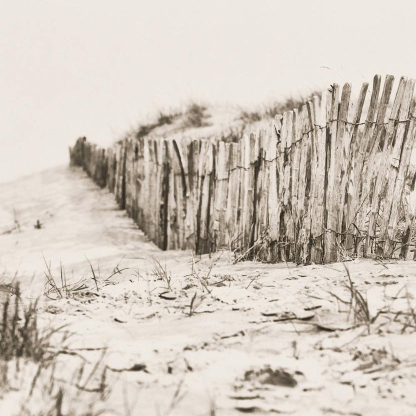 Beach Fence Square