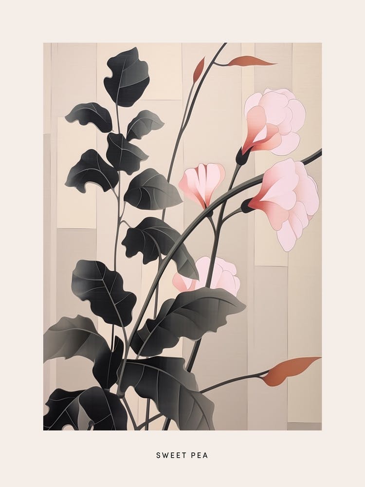Flower Illustration Sweet Pea 2 Poster