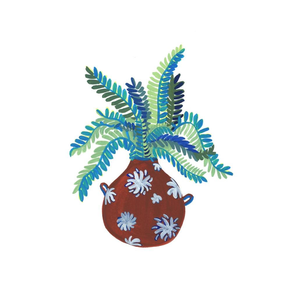 Fern Plant Square