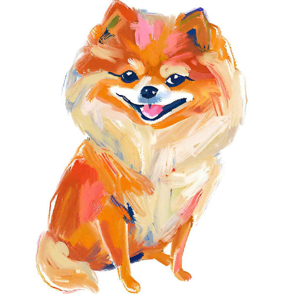 Pomeranian 02
