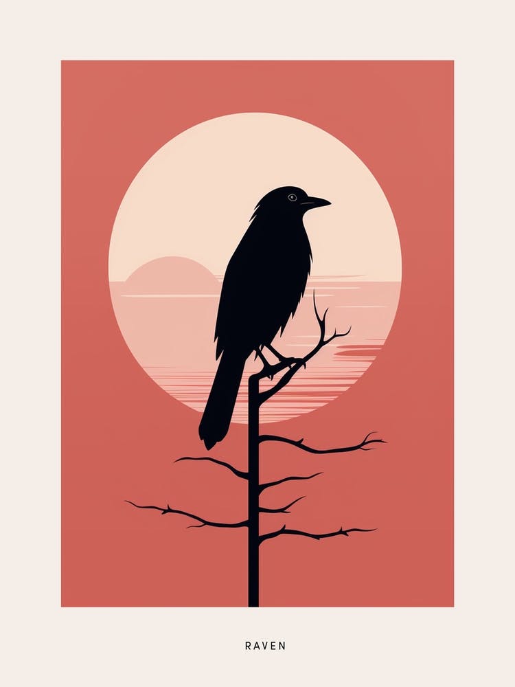 Minimalist Raven 3 Bird Poster