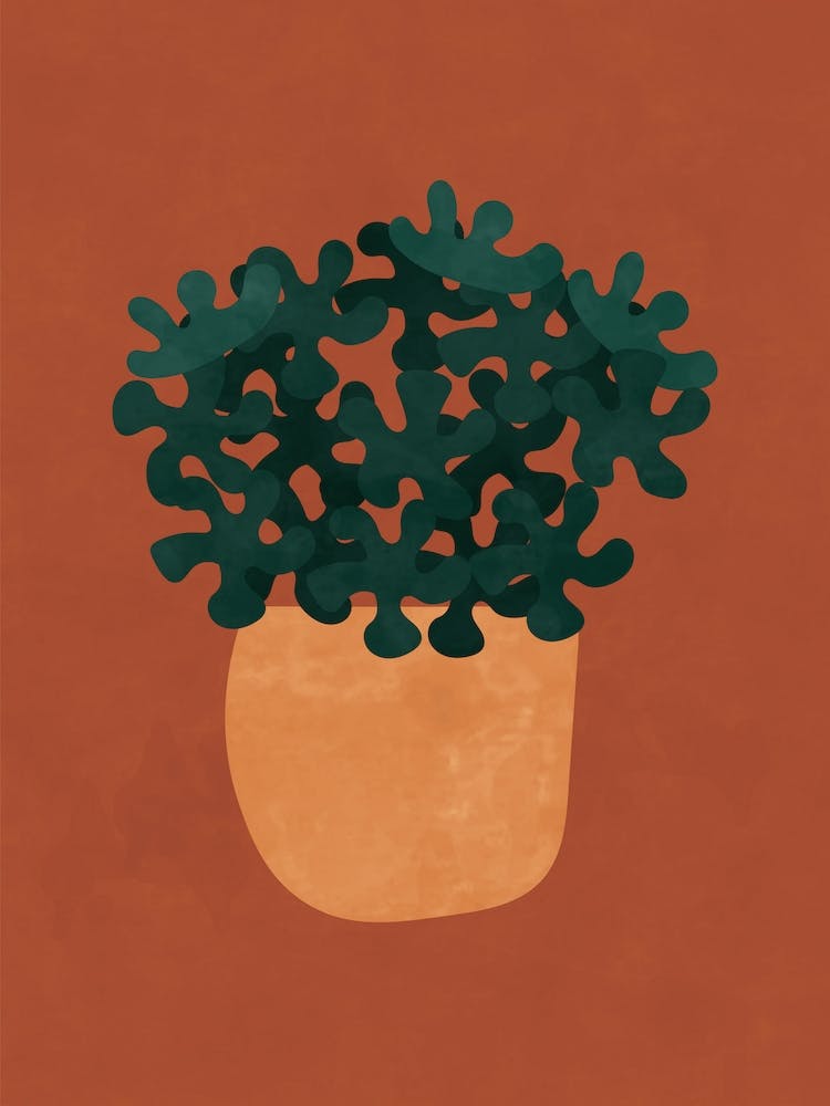 Potted Plant Boho Botanical