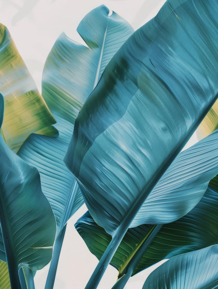 Tropical Leaves 85