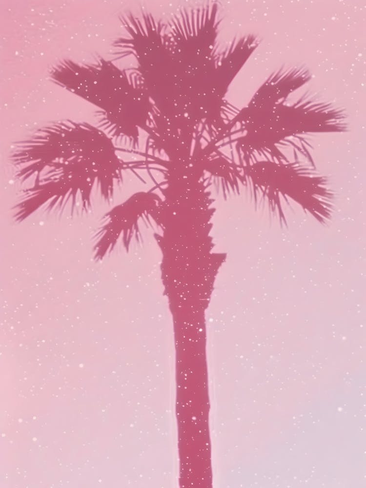 Pink Palm Tree 1